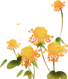 b46fcc4c700b41848f839f159ff85fe7.Png