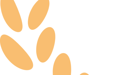 【检察之星】涂丝丝：守护每一株“新苗”向阳生长