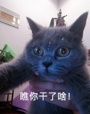 475785aee316fbd9ae3760ae189d401a