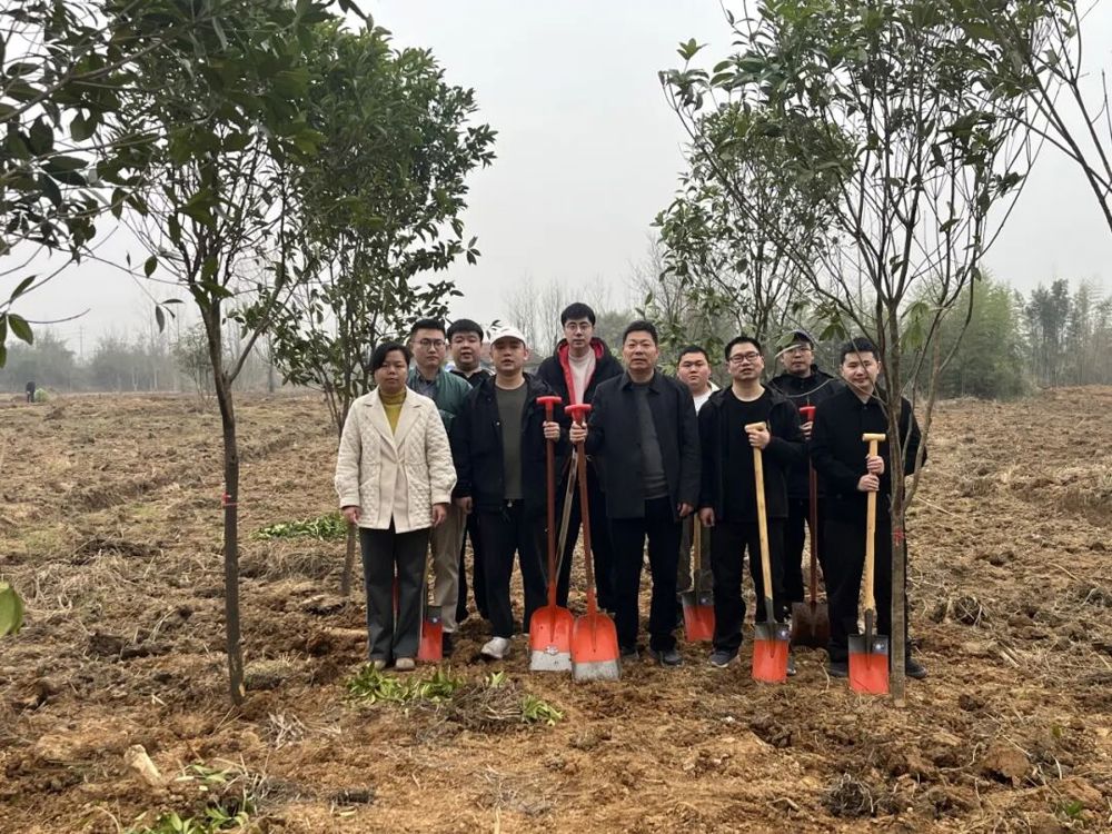 【检护青绿 共植未来】临澧县检察院组织检察人员参加2025年全县义务植树活动